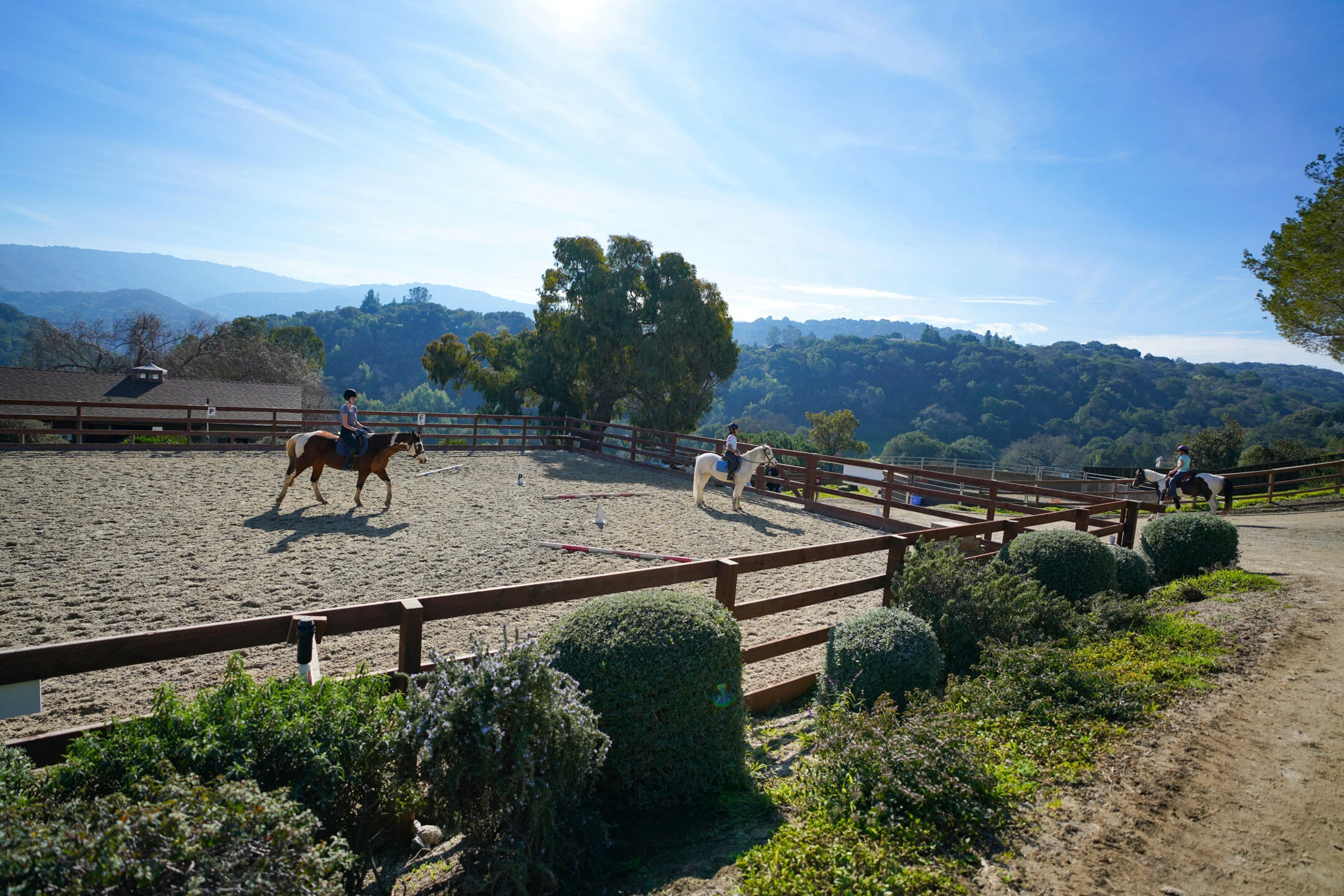 Los Altos Hills Houses for Sale Santa Clara County, CA Nicholas French