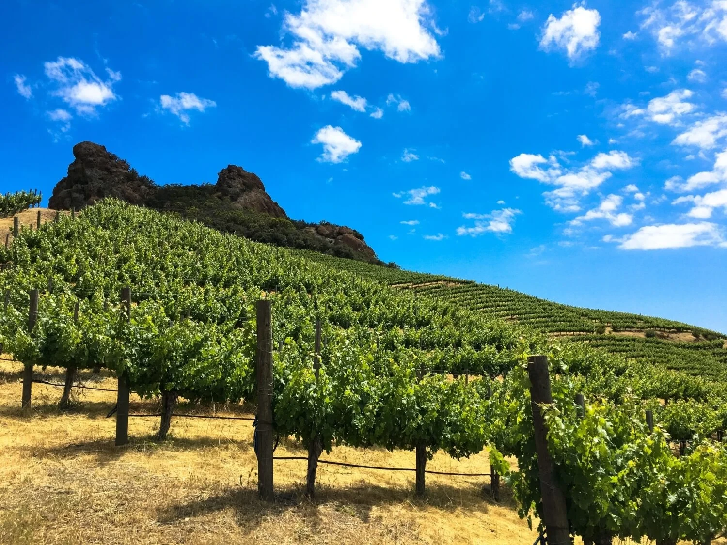 Malibu Wine Hikes 1