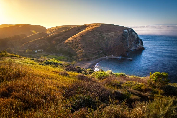 Santa Cruz Island