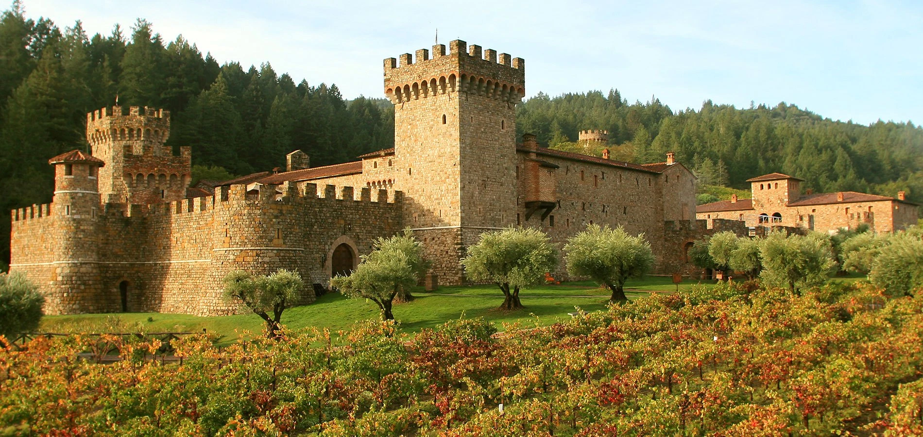 Castello di Amorosa in Napa Valley 1