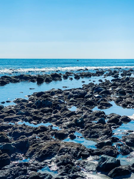 Tide Pools