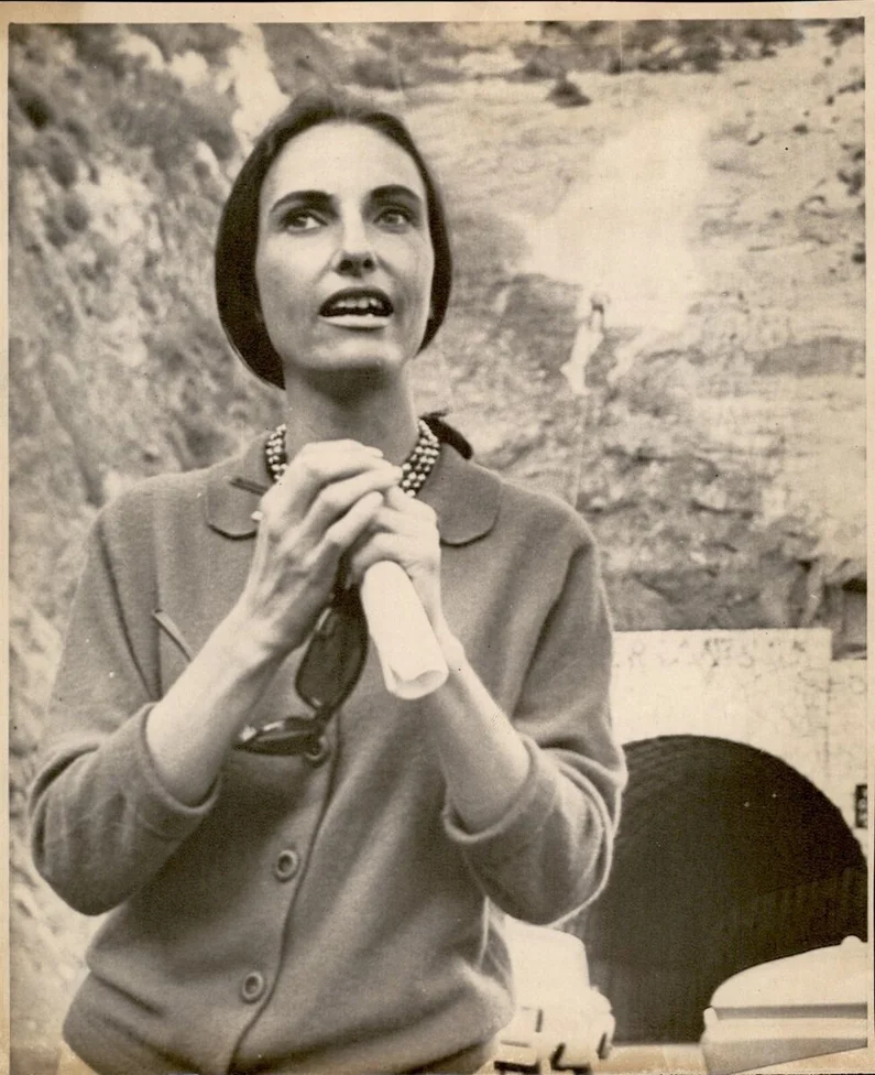 lynne seemayer