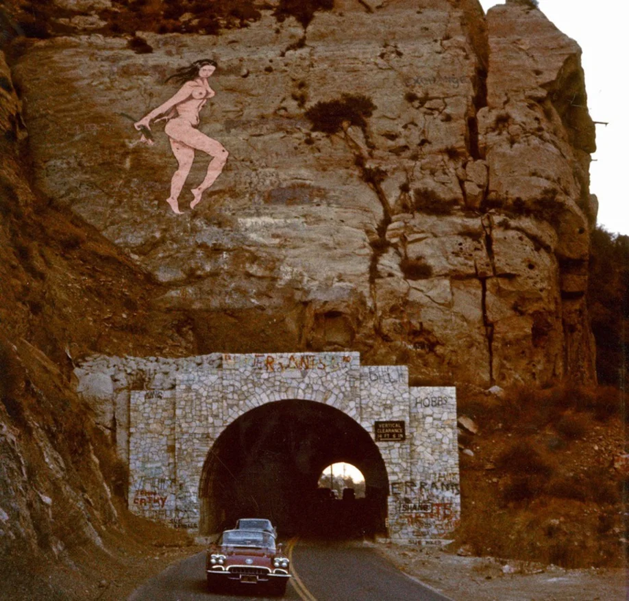 Pink Lady Cover