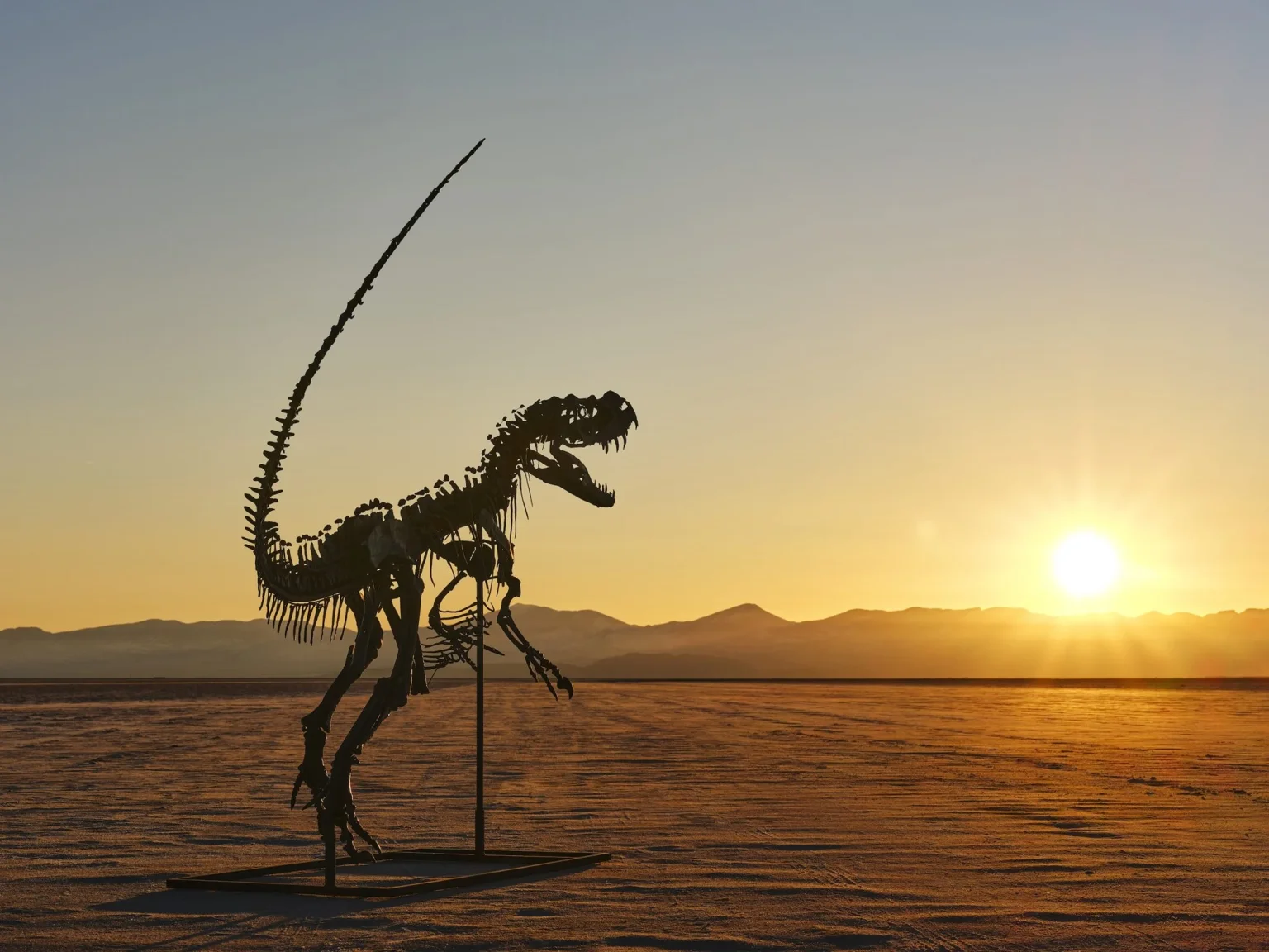 matthew-sherman-ceratosaurus-sothebys-sunset-2048x1536