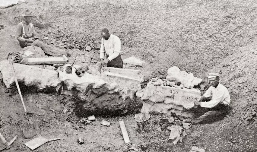 Bone Cabin Quary