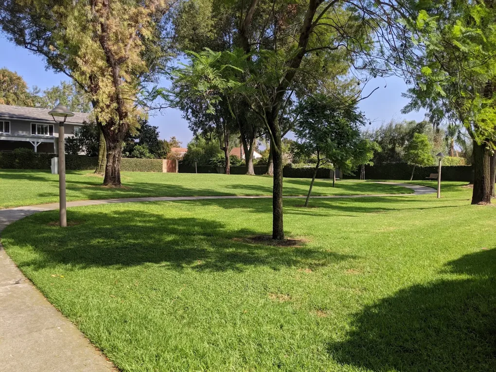 First Neighborhood