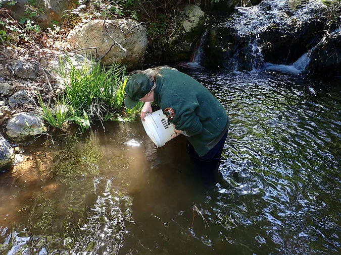Tadpole Release 2