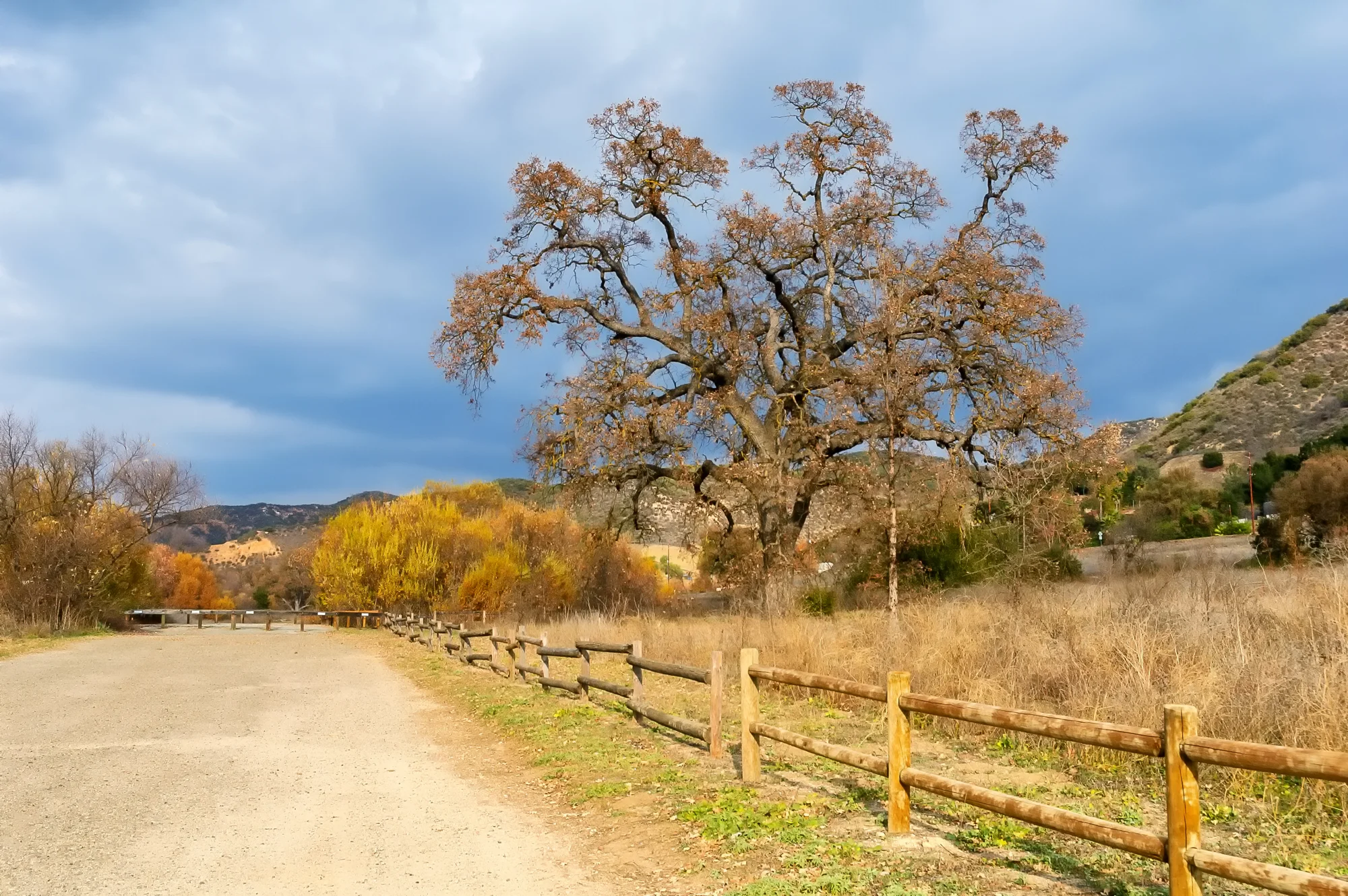 Back trails