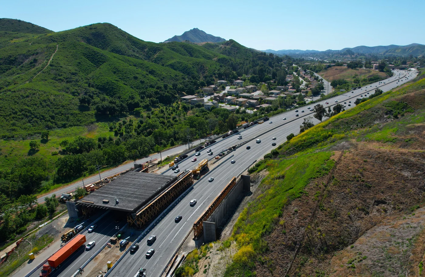 Early Construction