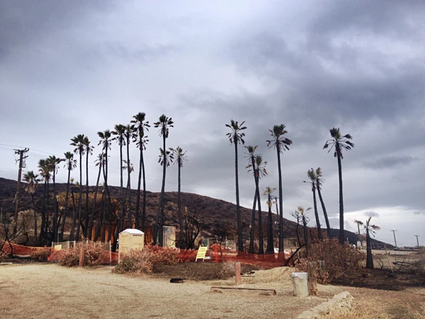 Malibu Fire