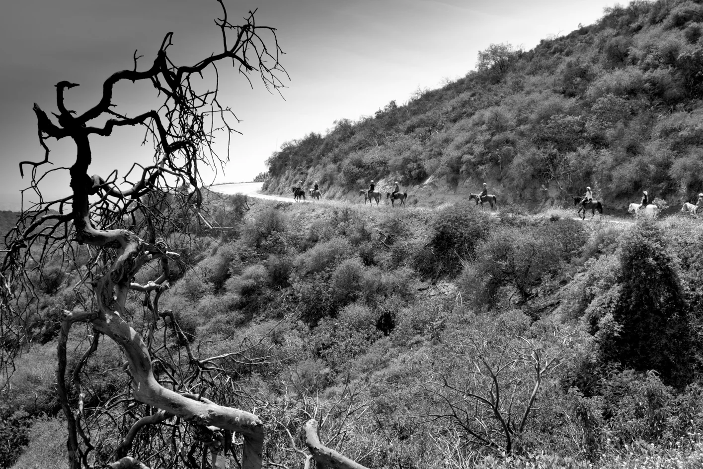 Santa Monica Mounstina